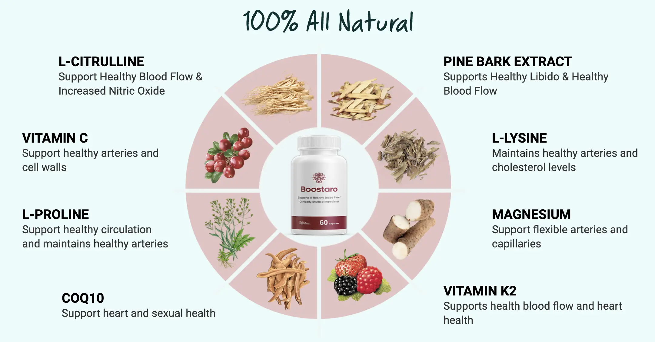 Boostaro all ingredients